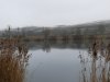image081