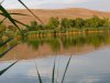 image067