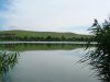 image115