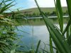 image140